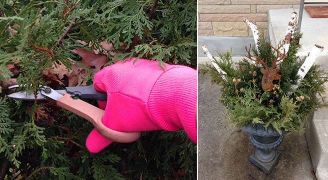 pruning branches for winter containers
