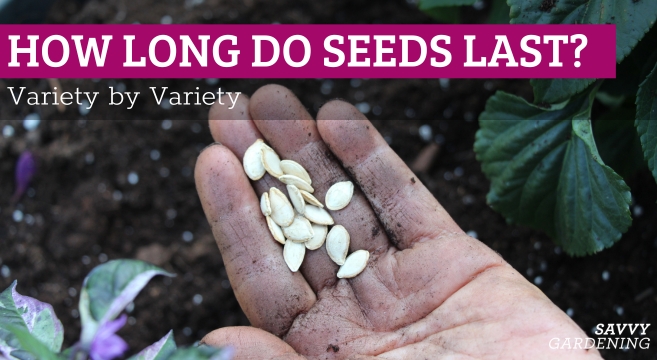 Tips for knowing how long seeds will last