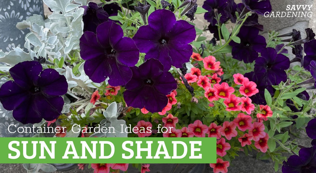 container garden ideas
