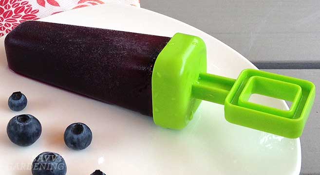 Iced Blueberry Green Tea popsicle