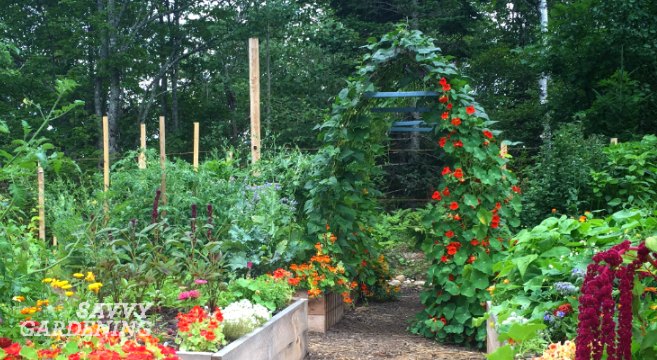 vertical vegetable gardening