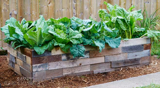 Raised Bed Garden, How To Make A Raised Garden Bed Frame
