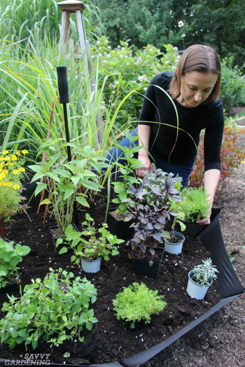 Planting a spring herb garden for homegrown herbal teas