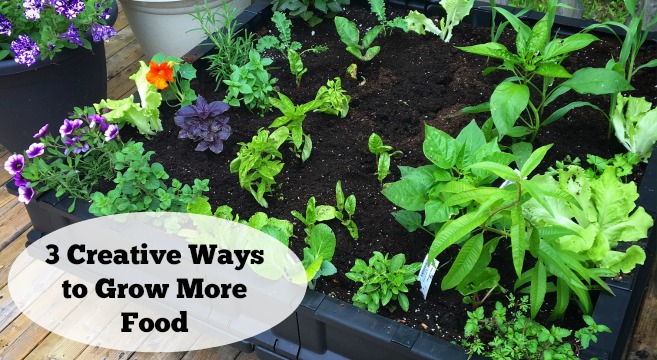 Get inspired with these 3 creative projects to help you grow more food!