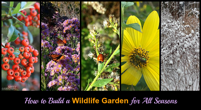 Learn how to build a year-round wildlife garden.