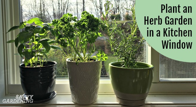 Kitchen Window And Grow Herbs, How To Make A Window Herb Garden