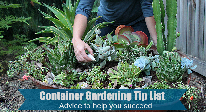 Container gardening tip list for success.