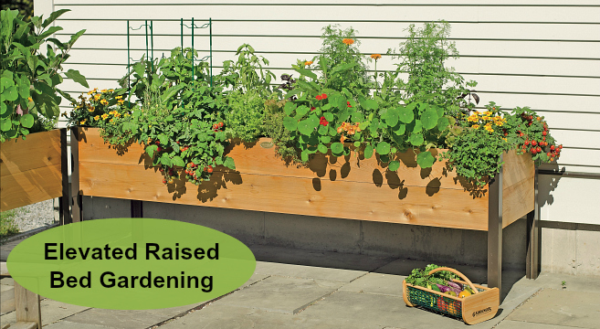 Wood Garden Patio Planter Flower Vegetable Herbs Raise Bed Seed Soil Raised Box 