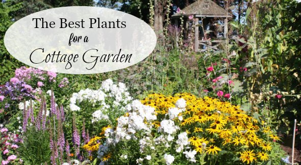 A List Of Cottage Garden Plants The, How To Plan A Cottage Garden Border