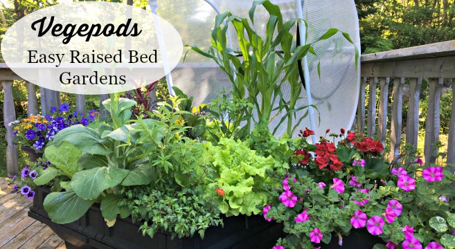 Vegepods are an easy and low maintenance way to grow a garden. (AD)