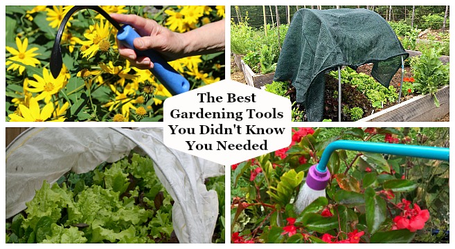 Discover the best gardening tools you didn't know you needed.
