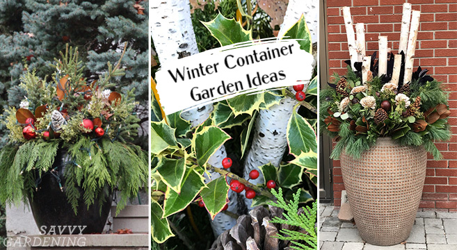 Outdoor Winter Container Garden Ideas, How To Prepare Outdoor Pots For Winter