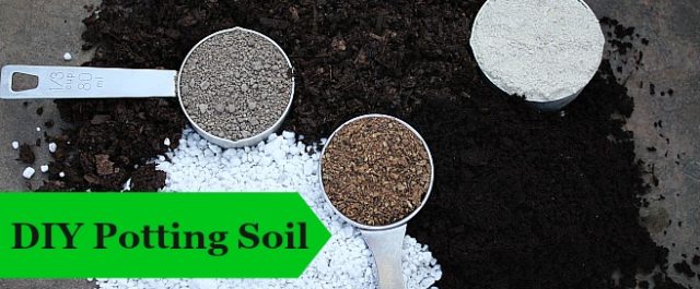 Make your own potting soil with these recipes