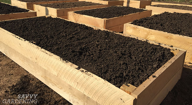 The Best Soil For A Raised Garden Bed Healthy Equals Plants - Best Compost For Vegetable Garden