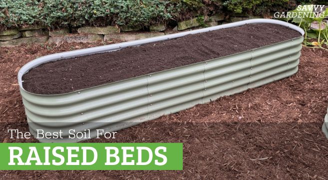 the best soil for raised garden beds