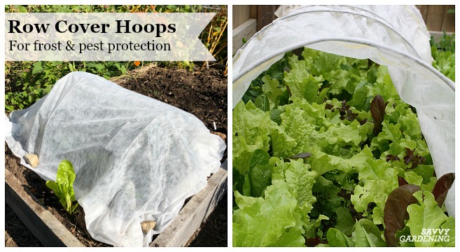 Use row cover hoops to protect vegetables from pests and frost
