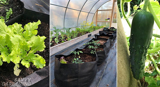 Bverionant Fabric Raised Bed Plant Grow Bags Round Planter for Plants,Vegetables,Flowers Black 50cm*20cm