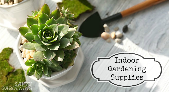 Indoor gardening supplies: Houseplant gear for everything from potting, watering, and fertilizing to projects