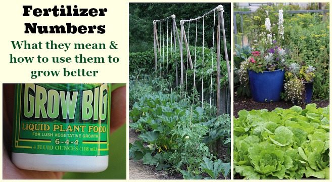 Fertilizer Numbers: What They Mean and How to Use Them to Grow Better
