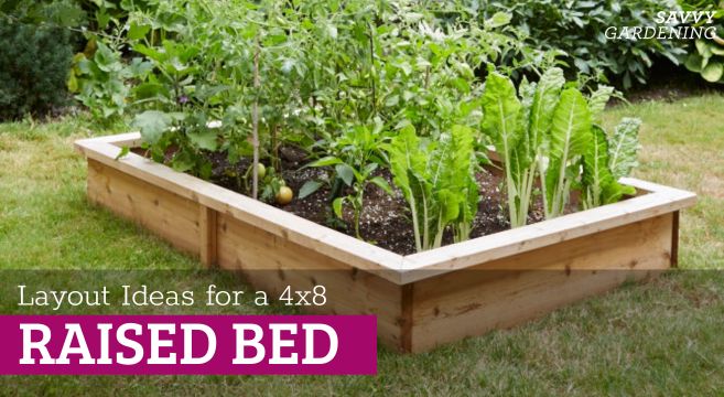 4x8 raised bed vegetable garden layouts