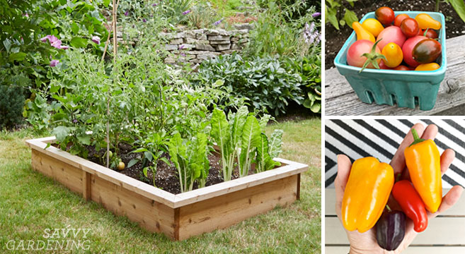 4x8 Raised Bed Vegetable Garden Layout, Easy Raised Garden Bed Plan