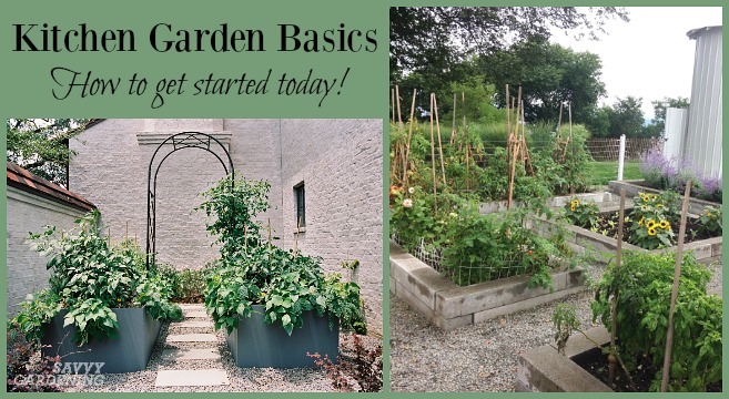 Kitchen garden basics