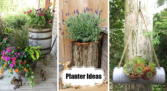 Planter ideas for creative container arrangements