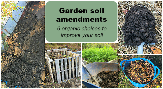 Garden Soil Amendments 6 Organic Choices To Improve Your - Best Compost For Vegetable Garden