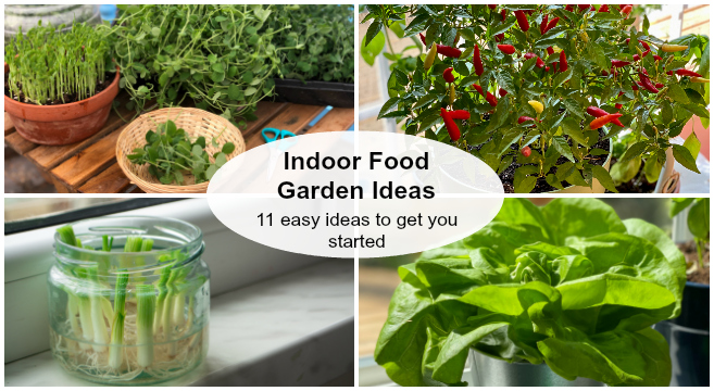Indoor food garden ideas; 11 easy ideas to get you started