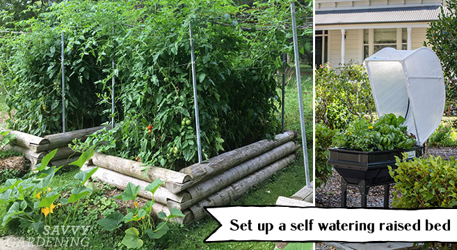 set up a self watering raised bed