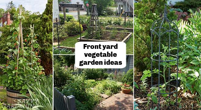 Front Yard Veggie Garden Bed Ideas 