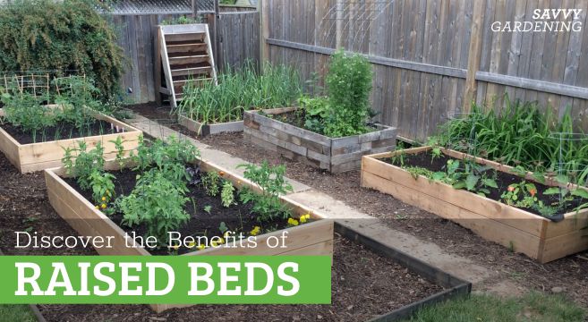 the benefits of raised beds
