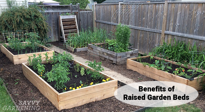 Benefits Of Raised Garden Beds Grow A, High Raised Garden Bed Plans