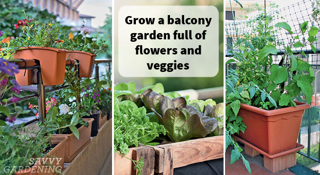 Grow A Balcony Garden Full Of Veggies, How To Do Balcony Gardening