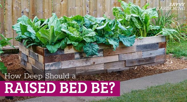 how deep should a raised garden bed be?