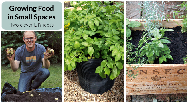 Two Clever And Easy Diy Projects For Growing Food In Small Es