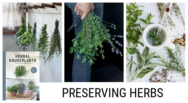 Tips for using homegrown herbs