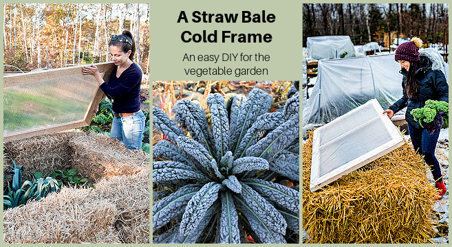 how to build and use a straw bale cold frame