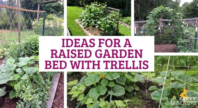 raised garden bed with trellis