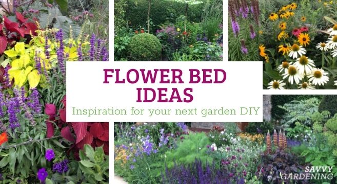 flower bed ideas