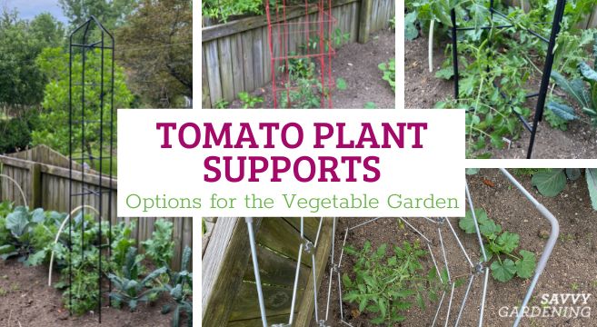 tomato plant support ideas