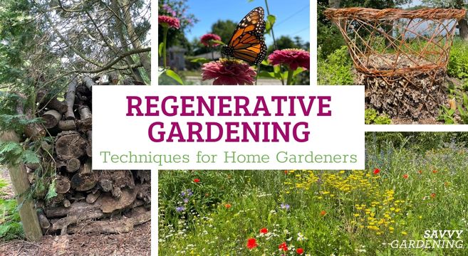 regenerative gardening techniques for home gardeners