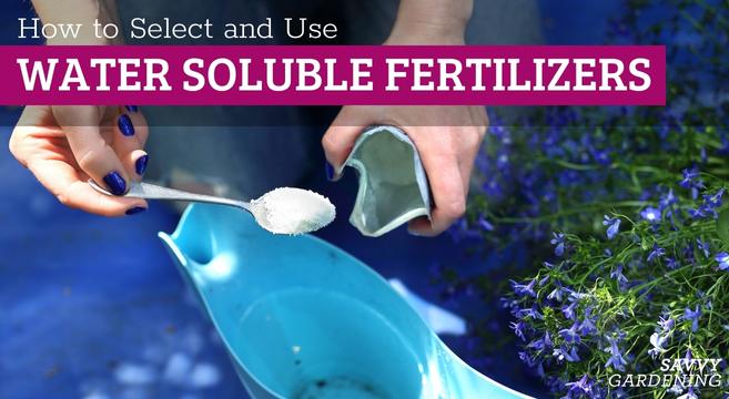 The best water soluble fertilizers for the garden