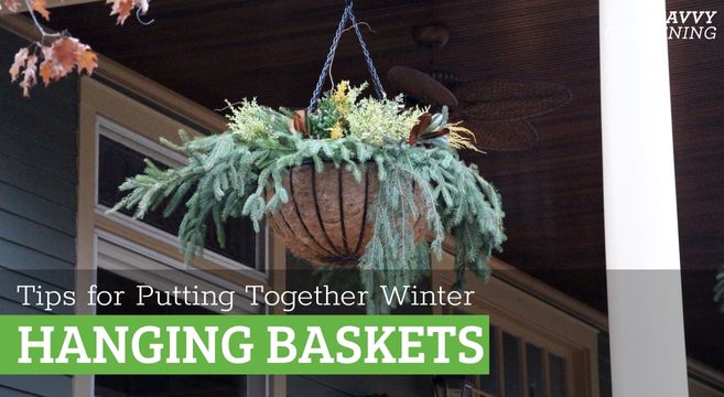 tips for assembling a Christmas hanging basket