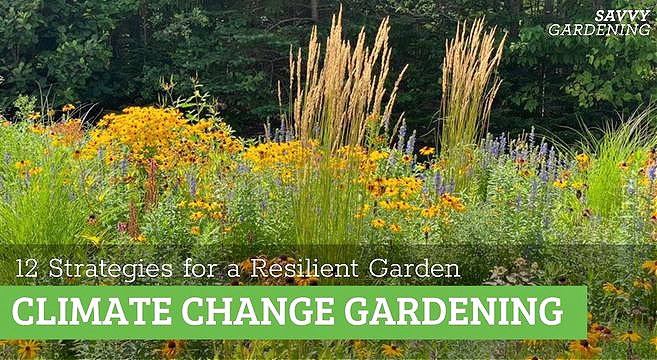 12 Strategies for climate change gardening
