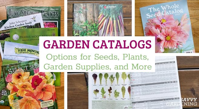 Garden catalogs: Options for ordering seeds, plants, garden gear, and more