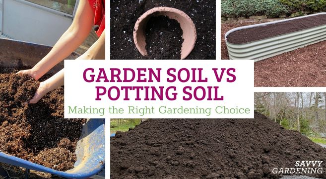 garden soil vs potting soil