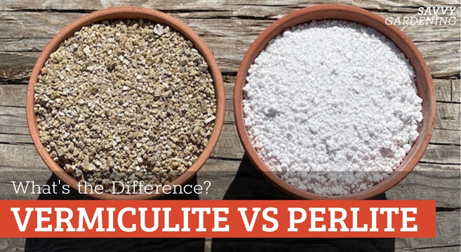 Vermiculite vs perlite: Which is better?
