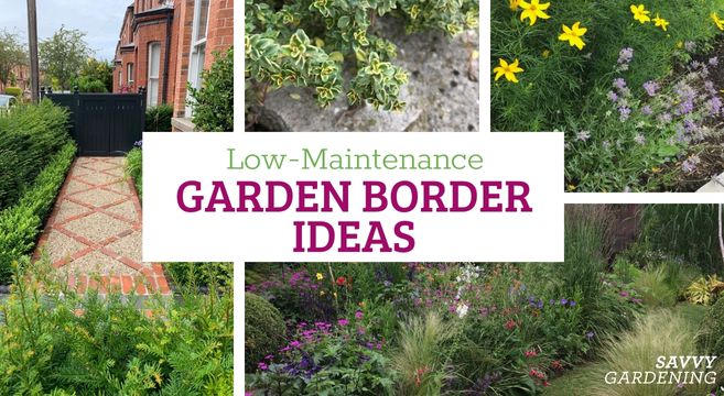 low-maintenance garden border ideas