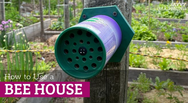 how to use a bee house